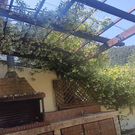Diogenis Villa فوروفورو المظهر الخارجي الصورة
