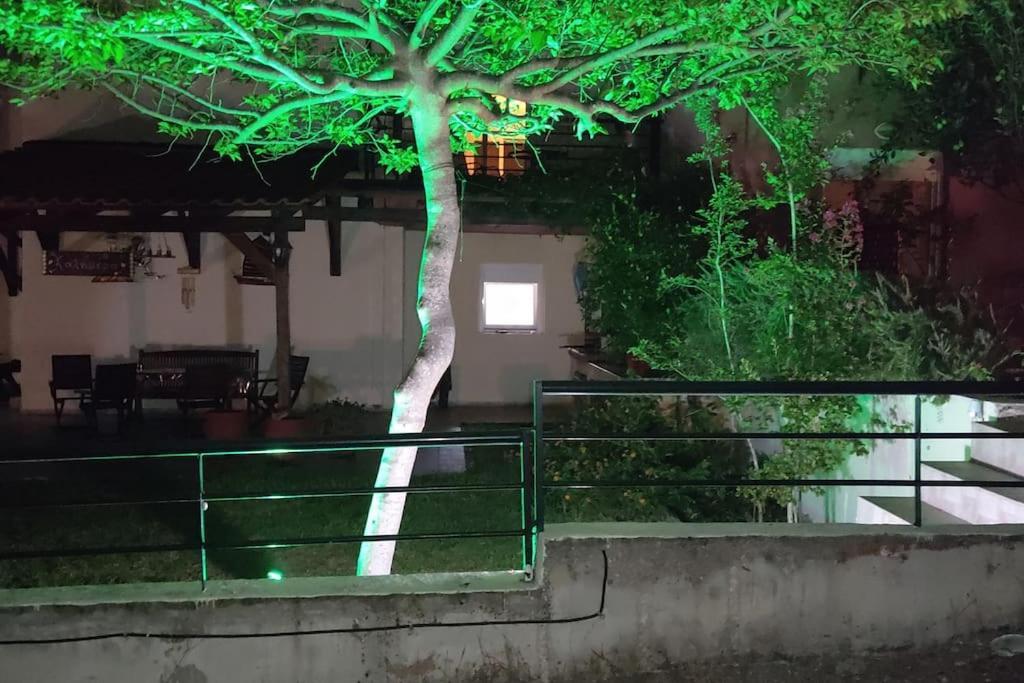 Diogenis Villa فوروفورو المظهر الخارجي الصورة