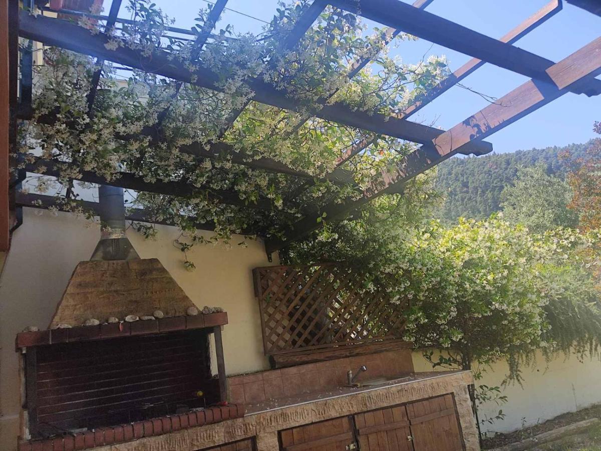 Diogenis Villa فوروفورو المظهر الخارجي الصورة
